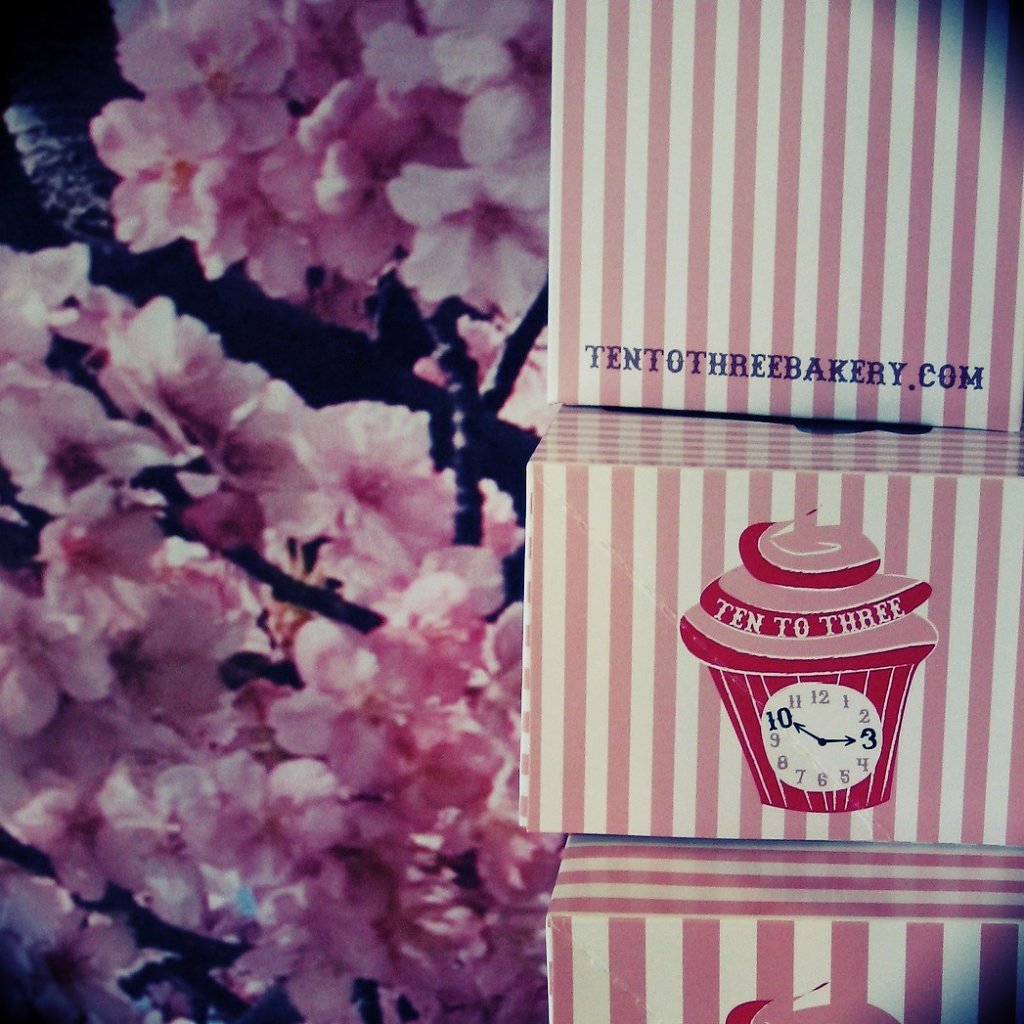 Cake Boxes
